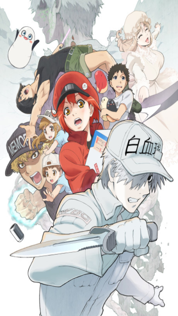 Cells at Work! 2nd Season, はたらく細胞!!