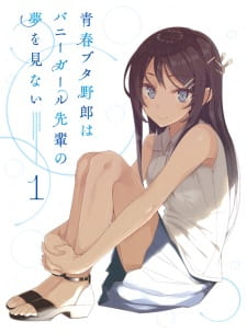 Seishun Buta Yarou wa Bunny Girl Senpai no Yume wo Minai Picture Drama episode 2 stream online hd free