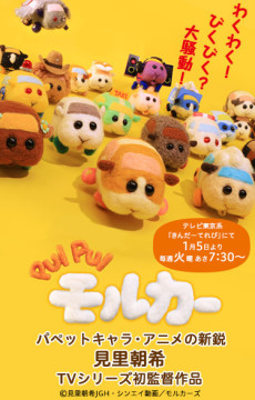 PUI PUI モルカー,